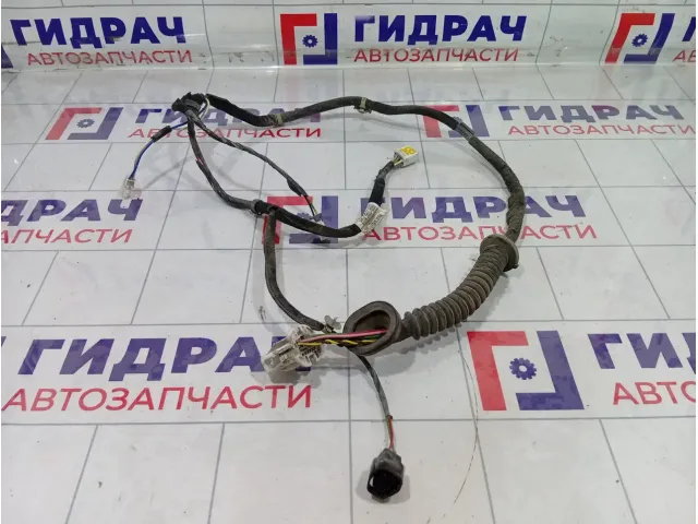 Проводка двери задней левой Hyundai Matrix 9183017020