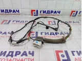 Проводка двери передней правой Hyundai Matrix 9181010020
