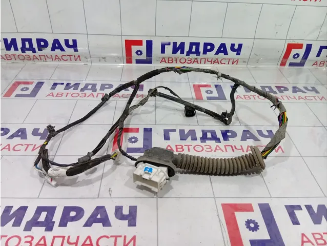 Проводка двери передней правой Hyundai Matrix 9181010020