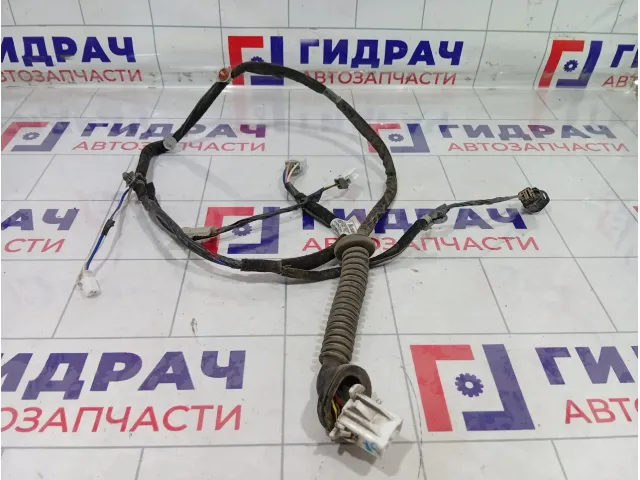 Проводка двери задней правой Hyundai Matrix 9183017020