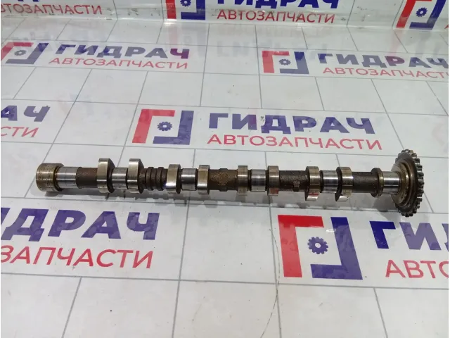 Распредвал выпускной Hyundai Matrix 2420026004