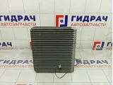 Испаритель кондиционера Hyundai Matrix 9713917050