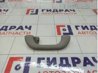 Ручка потолочная Hyundai Matrix