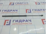 Амортизатор двери багажника Hyundai Matrix (FC) 8177010030