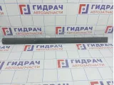 Молдинг передней правой двери Hyundai Matrix (FC) 8772417000