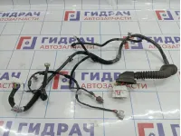 Проводка двери передней левой Hyundai Matrix (FC) 9180010050
