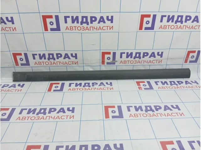 Молдинг передней левой двери Hyundai Matrix (FC) 8772317000