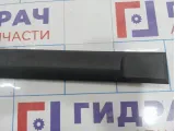 Молдинг передней левой двери Hyundai Matrix (FC) 8772317000