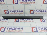 Молдинг задней правой двери Hyundai Matrix (FC) 8773417000
