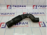 Патрубок воздушного фильтра Hyundai Porter 281624B151