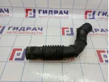 Патрубок воздушного фильтра Hyundai Porter 281624B151