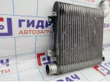 Интеркулер Hyundai Santa Fe (CM) 28271-27800