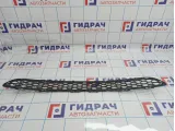 Решетка в бампер центральная Hyundai Santa Fe (CM) 86512-2B000