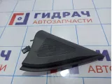 Крышка зеркала внутренняя левая Hyundai Santa Fe (CM) 876502B001WK