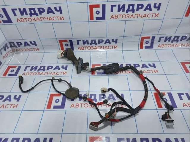 Проводка двери передней левой Hyundai Santa Fe (CM) 91600-2B451