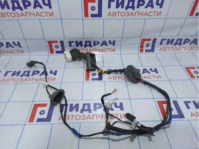 Проводка двери передней правой Hyundai Santa Fe (CM) 91610-2B451
