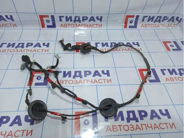 Проводка двери задней левой Hyundai Santa Fe (CM) 91650-2B010