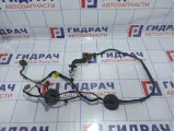 Проводка двери задней правой Hyundai Santa Fe (CM) 91660-2B010