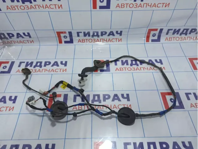 Проводка двери задней правой Hyundai Santa Fe (CM) 91660-2B010