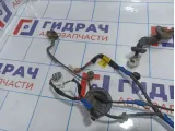 Проводка двери задней правой Hyundai Santa Fe (CM) 91660-2B010