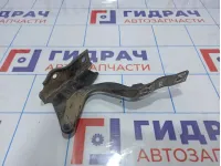 Петля капота правая Hyundai Santa Fe (CM) 79120-2B000