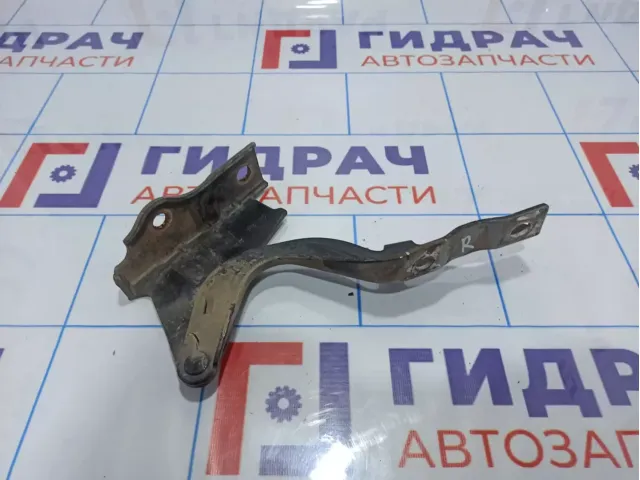 Петля капота правая Hyundai Santa Fe (CM) 79120-2B000