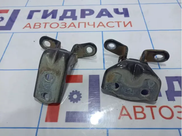Петли двери задней правой Hyundai Santa Fe (CM)