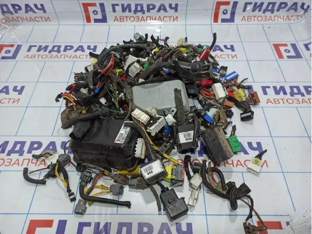 Фишка (разъем) Hyundai Santa Fe (CM)