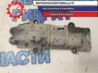 Пыльник Hyundai Solaris 2011 495851M000 Отличное состояние.