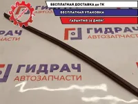 Уплотнитель стекла двери задний левый Hyundai Solaris 832411R0004X.
