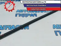 Уплотнитель стекла двери передней правой Hyundai Solaris 822411R0004X.