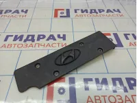 Накладка декоративная на двигатель Hyundai Solaris 22405-2B000