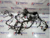 Проводка двигателя Hyundai Solaris (RB) 91250-4L202