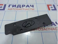 Накладка декоративная на двигатель Hyundai Solaris 22405-2B000
