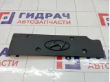 Накладка двигателя Hyundai Solaris (RB) 22405-2B000