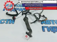 Проводка двери задней левой Hyundai Solaris 91650-4L032.