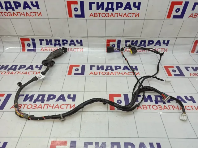 Проводка двери передней левой Hyundai Solaris 91600-H5040