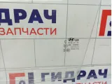 Стекло двери передней левой Hyundai Solaris 82410-H5010