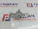 Петли двери передней левой Hyundai Solaris