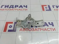 Петли двери передней левой Hyundai Solaris