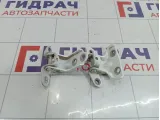 Петли двери задней левой Hyundai Solaris