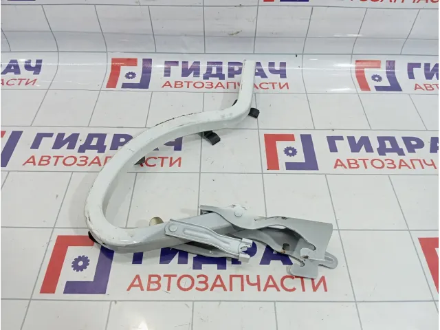 Петля крышки багажника левая Hyundai Solaris 79210-H5000