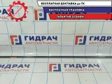 Торсион багажника Hyundai Solaris 2 79273-H5010. Комплект.