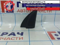 Угловая накладка на переднюю правую дверь Hyundai Solaris 2 .