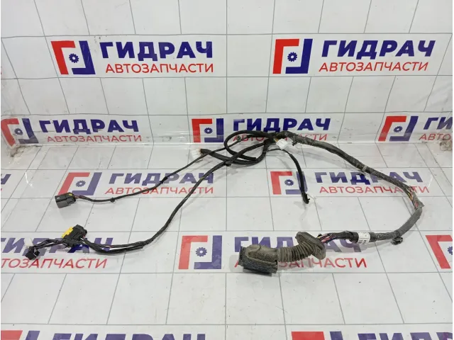 Проводка двери передней левой Hyundai Solaris 91605H5590