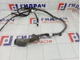Проводка двери передней левой Hyundai Solaris 91605H5590