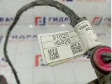 Проводка двери задней левой Hyundai Solaris 91625H5020