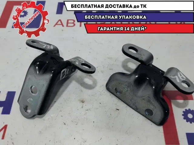Петля двери задней левой Hyundai Solaris 2 . Комплект.
