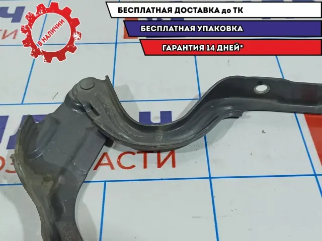 Петля капота левая Hyundai Solaris II 79110-H5000.