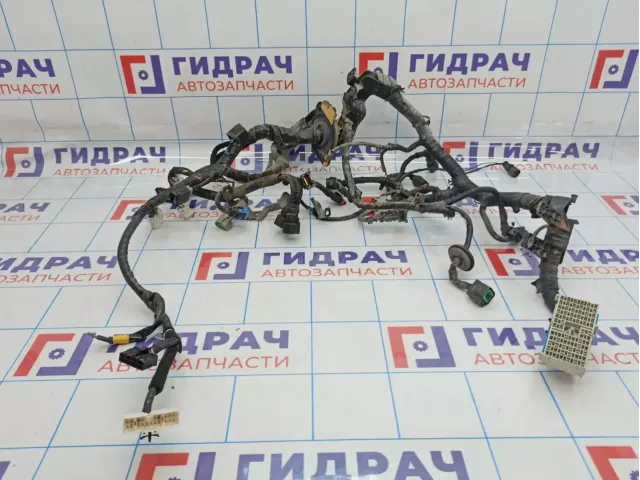 Проводка моторная Hyundai Sonata (EF)